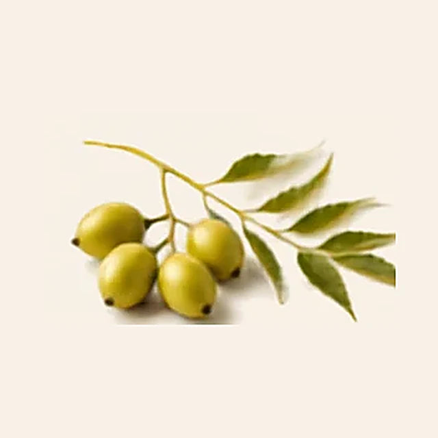 Organic Neem Powder